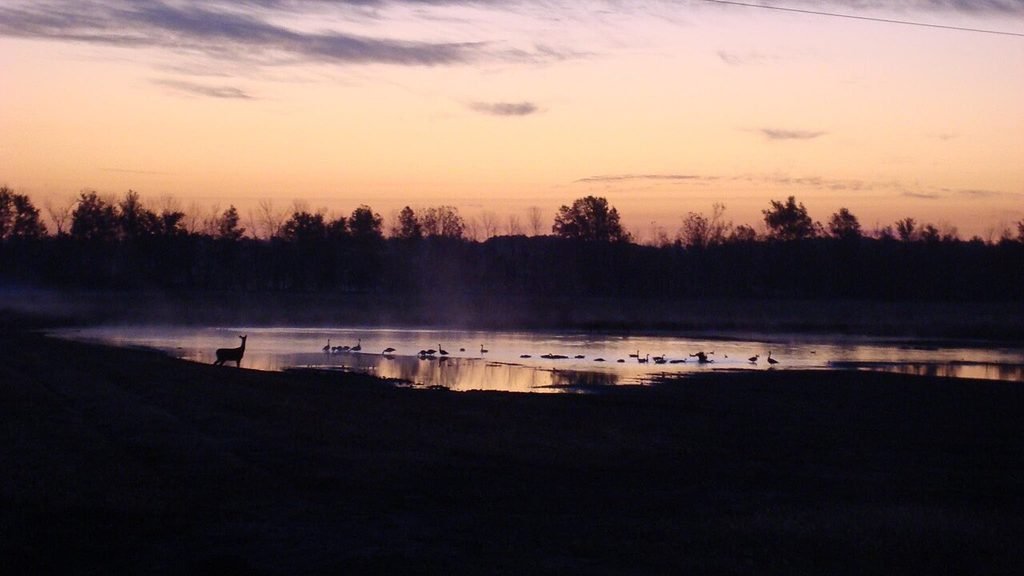 Sunset_at_Cypress_Creek